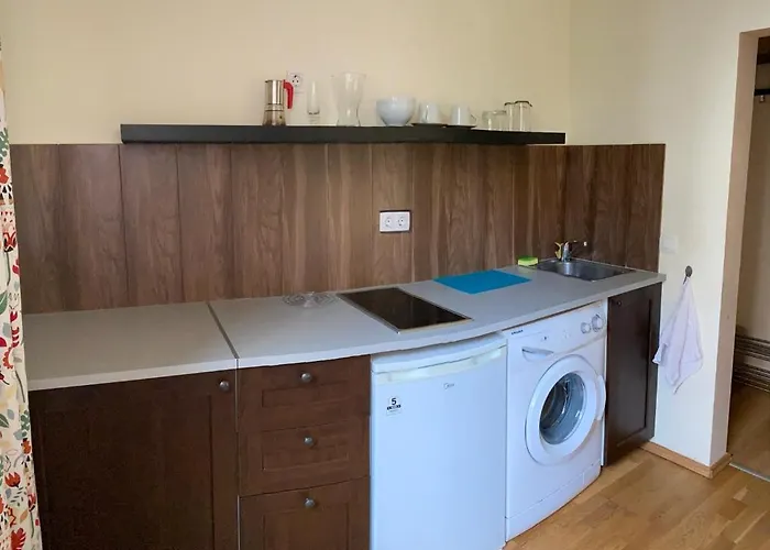 Opera 1 With Wifi & Tv דירה *